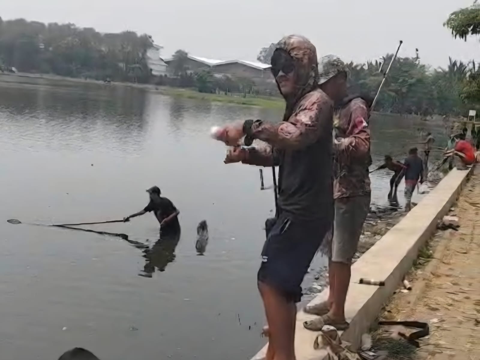 Ribuan Ikan Besar di Situ Cangkring Mabuk, Warga berbondong Ambil Ikan hingga Tonan