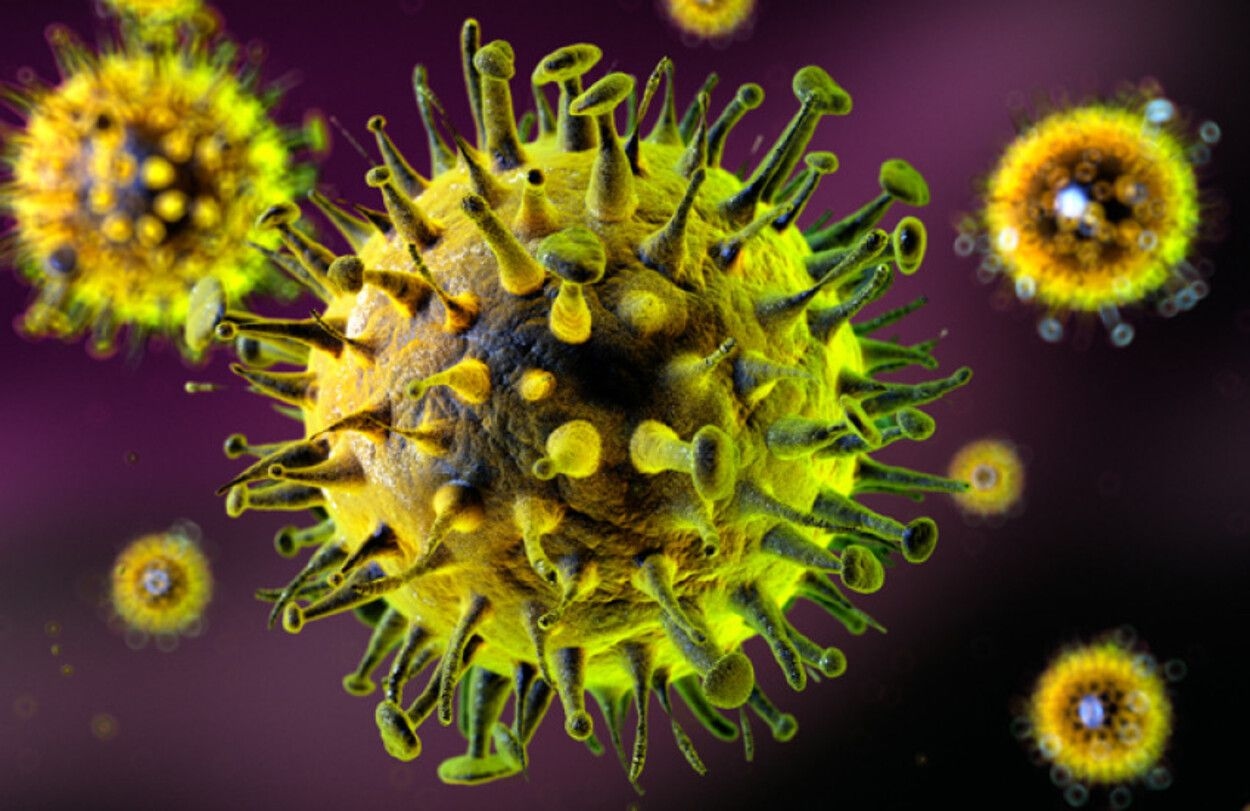 Ancaman Diam-diam dari Meja Makan, Virus Nipah Bisa Menyebar Lewat Buah dan Minuman Sehari-hari