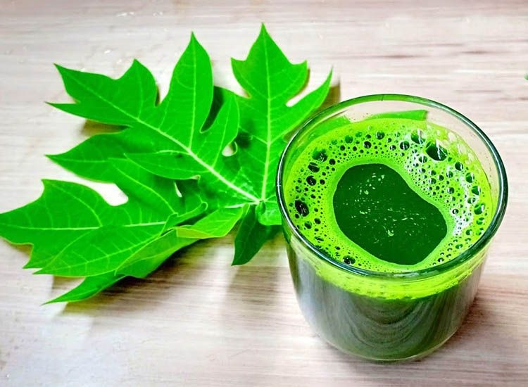 Bukan Saja Membuat Empuk Daging, Pahit Daun Pepaya Menjadikan Obat Herbal yang Efektif