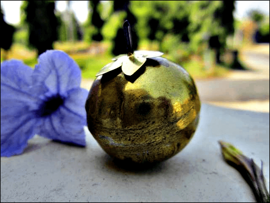 Ngeri, Apel Jin untuk Penglaris Usaha Terbuat dari Bagian Tubuh Manusia