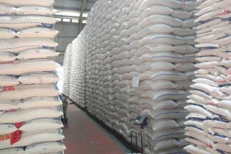 Indonesia Defisit Beras 2024 600 Ribu Ton, Pemerintah Harus Segera Impor!