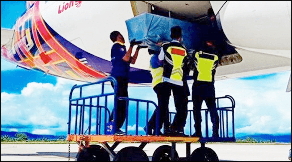 Cara Mengirim Jenazah Melalui Pesawat, Apabila Ada Keluarga Meninggal Dunia, Berikut Penjelasannya!