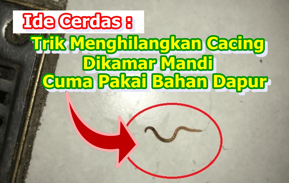 Ide Cerdas : Bukan Disiram Air, Cara Jitu Menghilangkan Cacing Dikamar Mandi, Cukup Pakai Bahan Dapur, Aman!