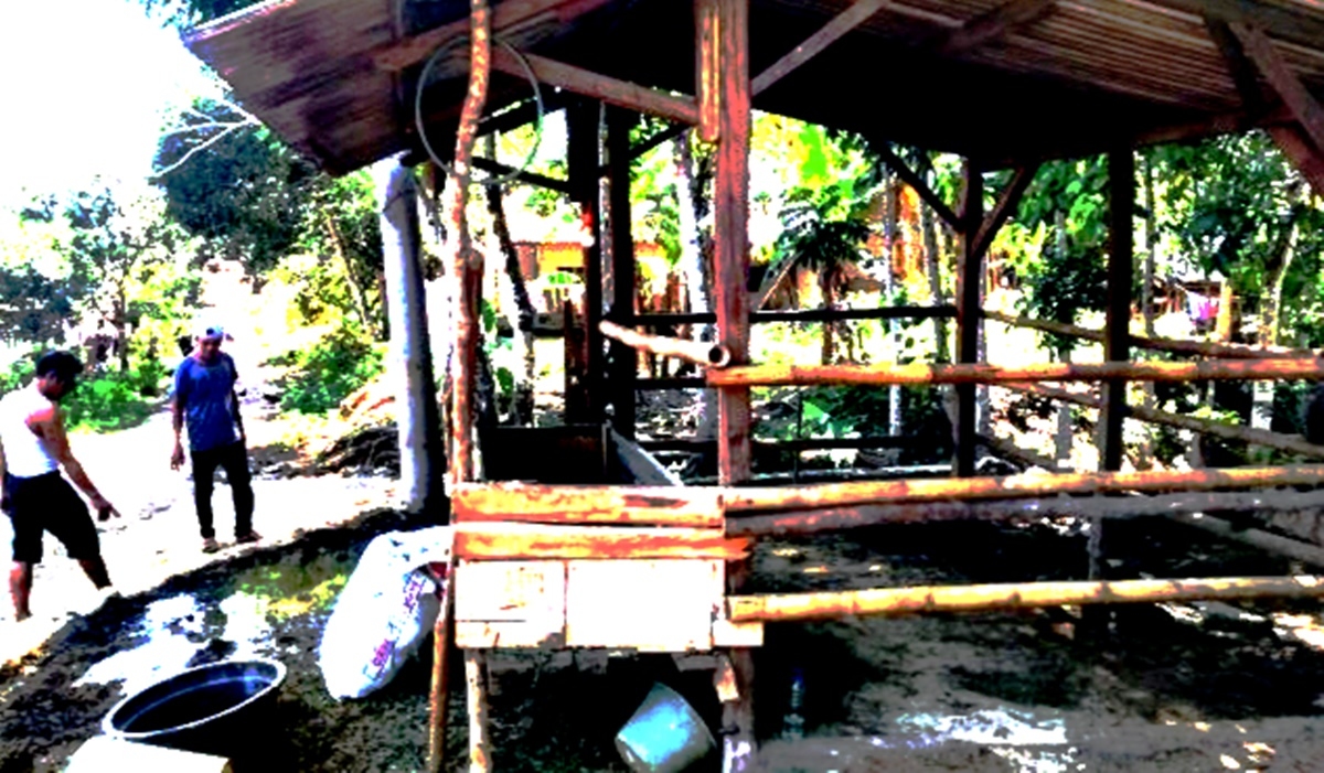 Aksi Maling Kembali Terjadi di Lebak, Dua Ekor Kebau Digasak dari Kandang