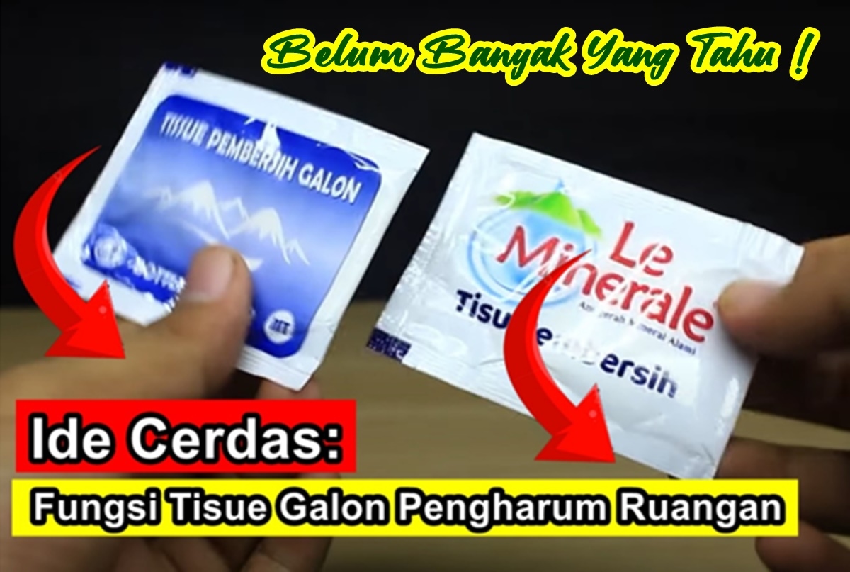 Ide Cerdas: Rahasia Luar Biasa, Tisu Galon Bermanfaat Membuat Harum Ruangan dan Istri Menjadi Bahagia
