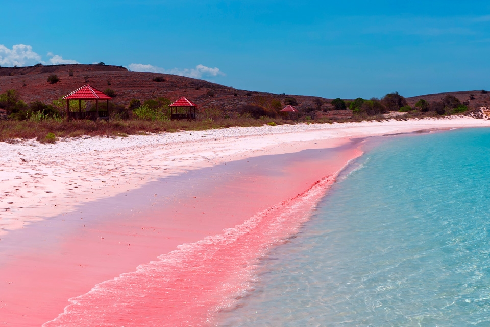 Destinasi Wisata Pantai Pink Lambu  Dan Uniknya Pantai Lariti di Bima Yang Mulai Mendunia