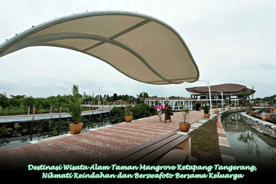 Destinasi Wisata Alam Taman Mangrove Ketapang Tangerang, Nikmati Keindahan dan Berswafoto Bersama Keluarga