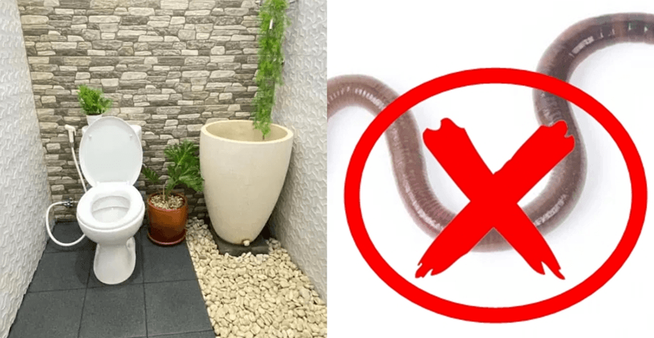 Di Kamar Mandi Anda Selalu Ada Cacing? Tips, Cara Membasmi Dengan Satu Bahan Dapur