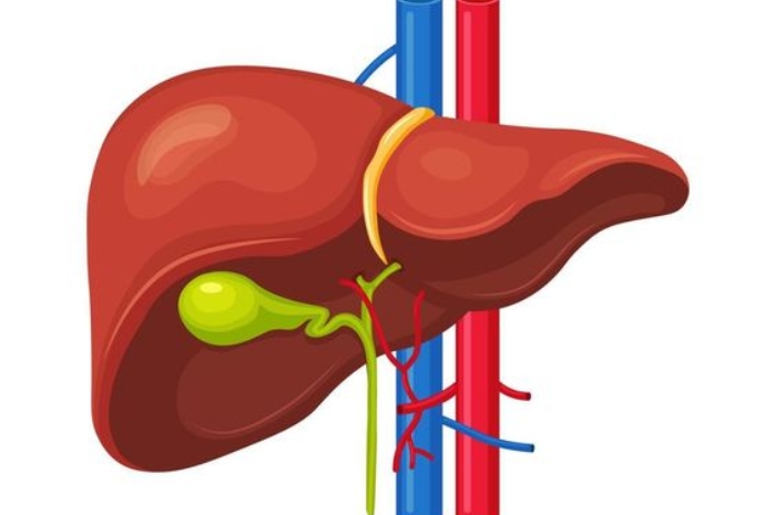Waspada Penyakit Gagal Hati, Ini Penyebab, Gejala, dan Cara Mengobatinya