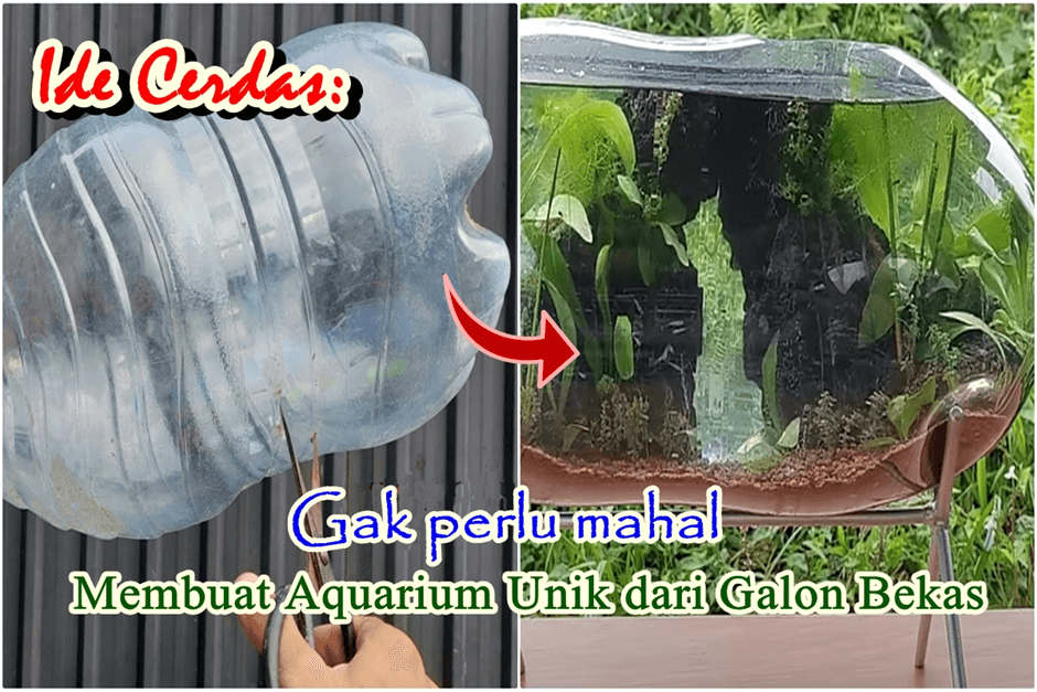 Ide Cerdas : Jangan Dibuang ! Membuat Aquarium Unik Artistik dari Galon Bekas