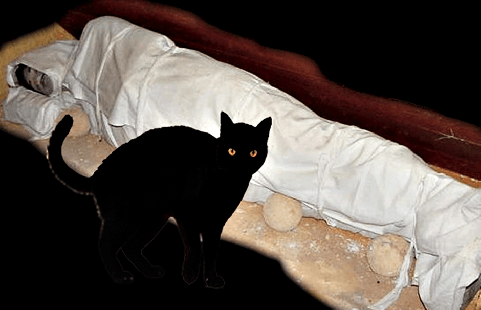 Mitos atau Fakta:  Jika Kucing Hitam Melangkahi, Mayat Akan Hidup Kembali