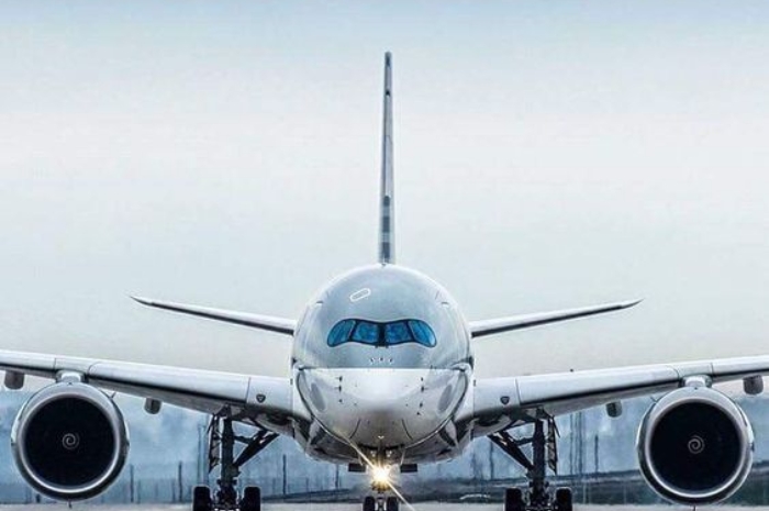 Lebih dari 4 ribu Penerbangan di Dunia Harus Dibatalkan karena Gangguan Teknologi Informasi Global