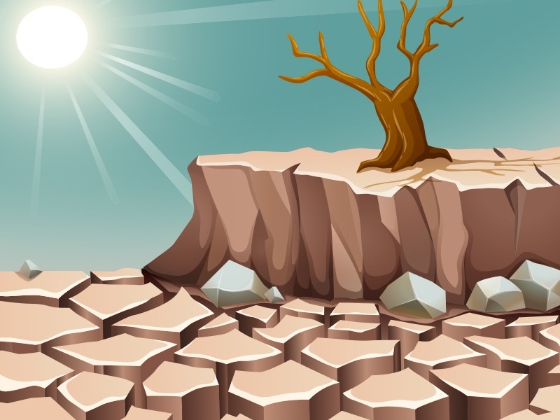 Pandeglang Alami Kekeringan Paling Parah di Banten, Terdapat 1.533 Hektare Area Sawah Tak layak Tanam