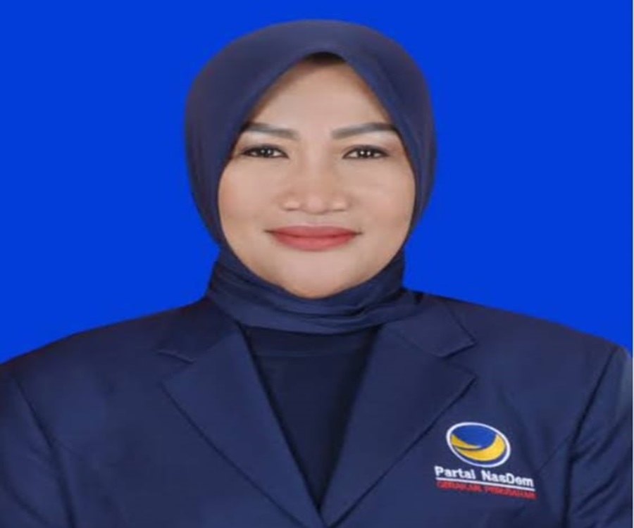 Anggota DPRD Lebak Angkat Bicara, Ambulance Tidak Bayar Parkir pun, RSUD Adjidarmo Tak Akan Bangkrut