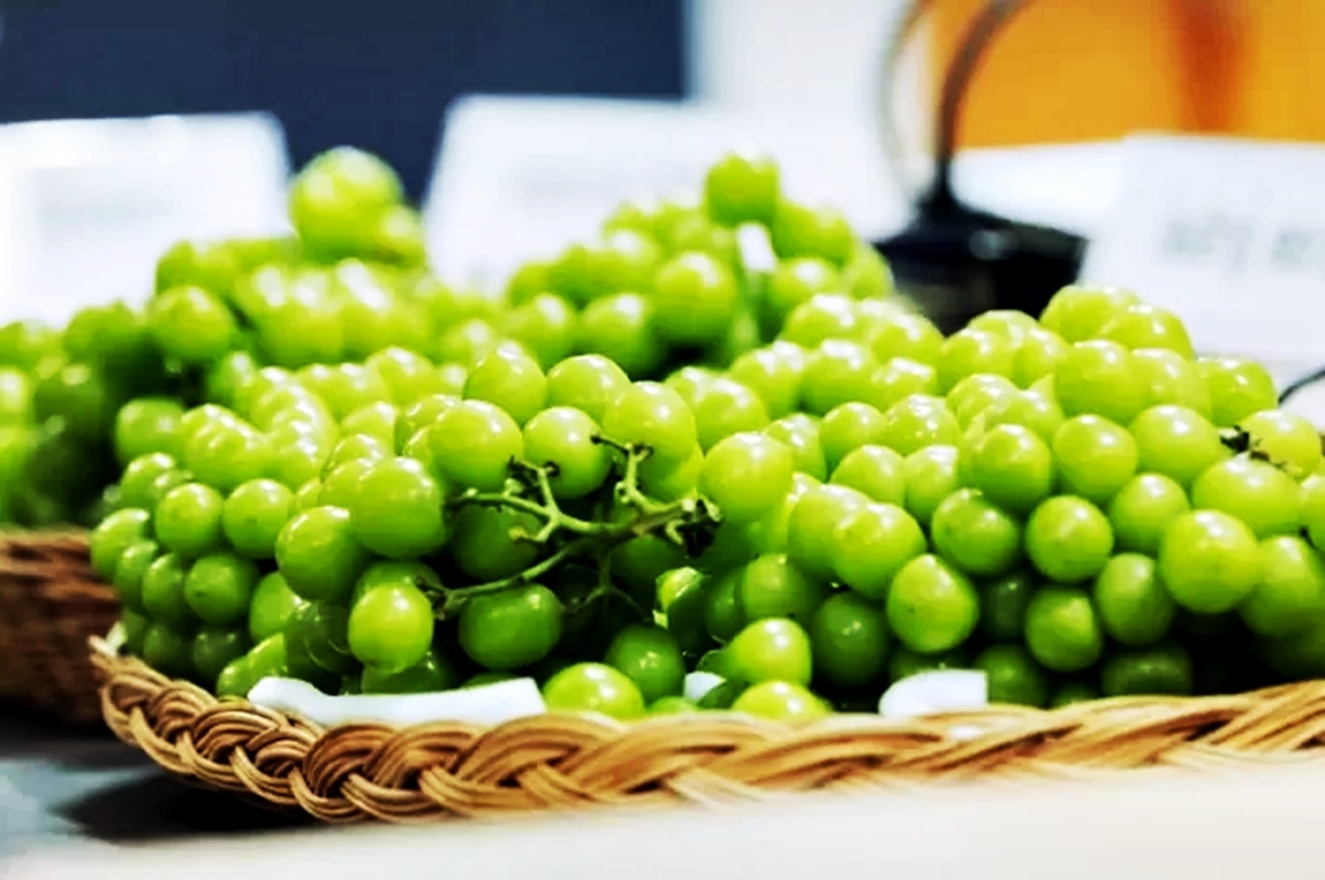 Rahasia Alami Kulit Glowing dan Tekanan Darah Stabil? Jawabannya Ada di Anggur Hijau! 