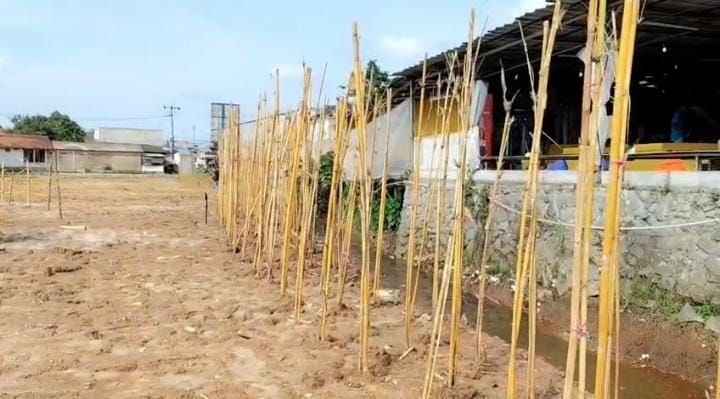 Hutan Bambu Senilai Rp1,8 Miliar di Cisoka Tangerang Tuai Pro Kontra, Pemkab Beri Penjelasan