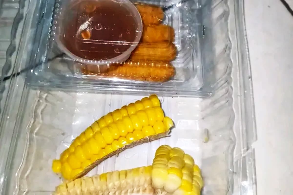 Viral Paket MBG 'Rapel' 3 Hari di Blora: Praktis atau Jebakan Makanan Olahan?