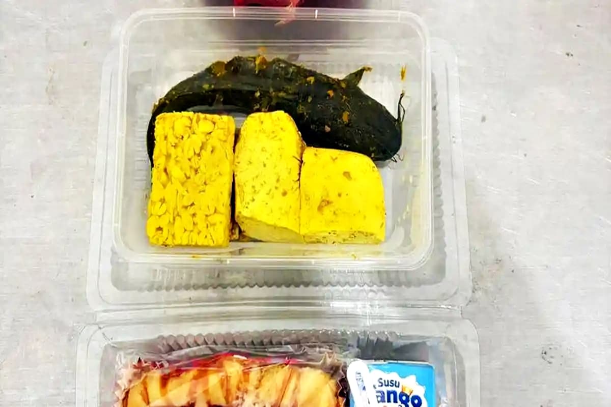 Viral Lele Mentah di Menu Makan Gratis Pamekasan, BGN Akhirnya Buka Suara: Ternyata Ini Alasannya!
