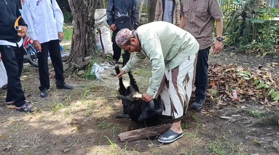Banyak RPH Belum Penuhi Standar Halal, Pemkab Tangerang Latih 90 Juru Sembelih Jelang Idul Adha