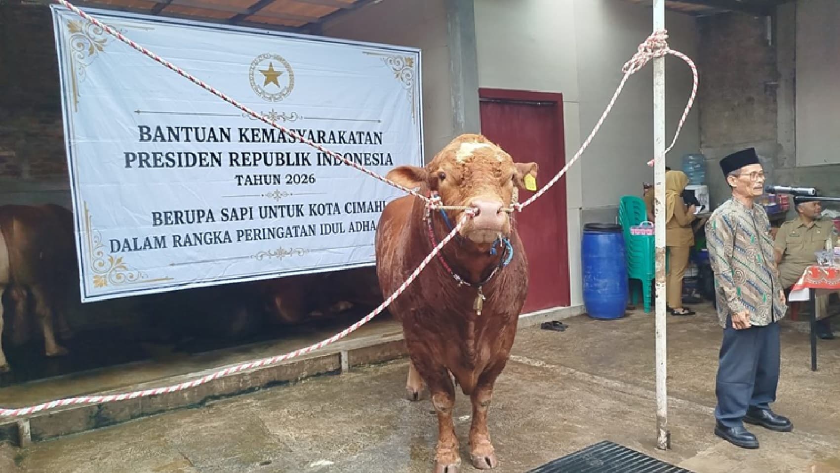 Purbaya Bingung Sapi Kurban Prabowo Rp100 Miliar Ternyata Pakai Dana APBN, Sang Menkeu Ternyata Tidak Tahu Hal Itu