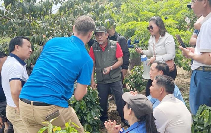 Indonesia Bawa Inovasi Pertanian ke Laos, Kopi Huaphan Dipacu Jadi Produk Bernilai Tinggi