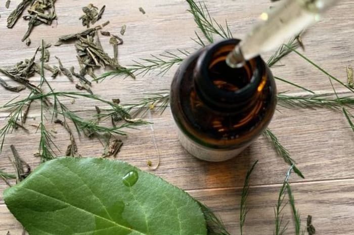 Jadi Aromaterapi, Ini Rekomendasi Aroma yang Menenangkan hingga Melegakan Pernapasan!