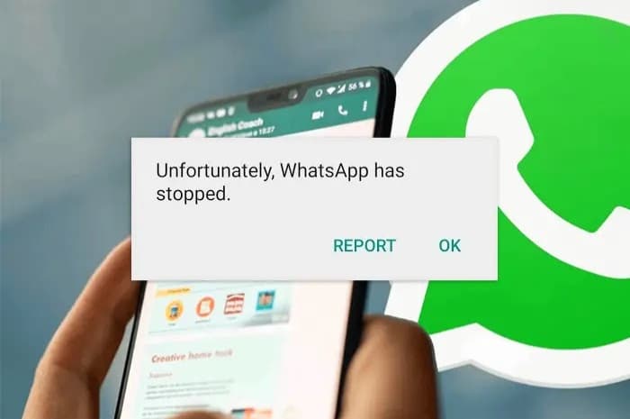 Aplikasi WhatsApp Kamu Sering Keluar Sendiri? Berikut Penyebab dan Cara Mengatasinya