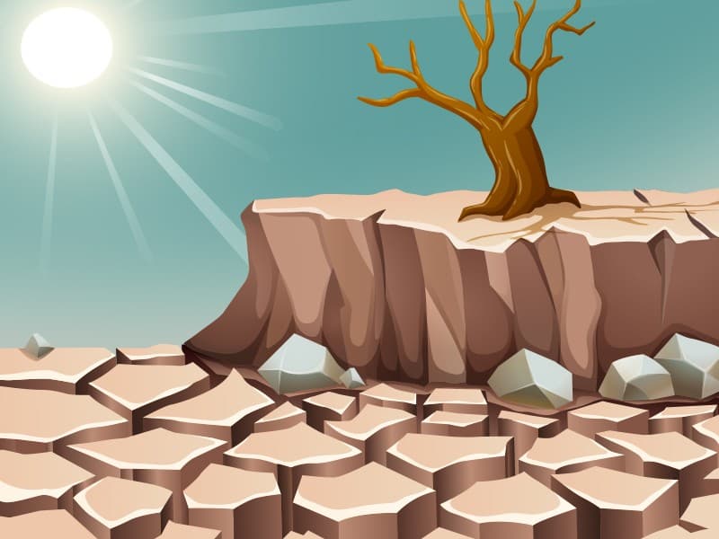 Pandeglang Alami Kekeringan Paling Parah di Banten, Terdapat 1.533 Hektare Area Sawah Tak layak Tanam