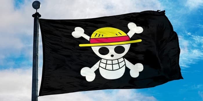 Kibarkan Bendera One Piece Jelang HUT RI ke 80 Bukan Makar, LBH Tegaskan Hal Ini Bisa Terjadi