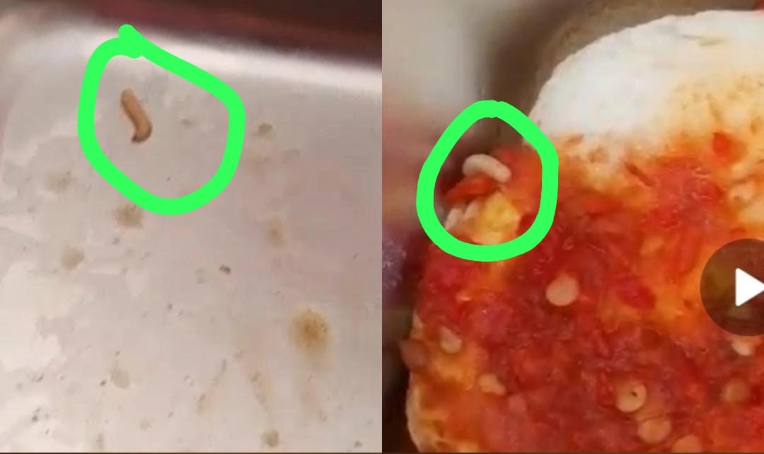 Viral! Video Durasi 23 Detik, Protes Menu MBG di Cibitung Pandeglang, Warga: Emangnya Belatung Itu Bergizi?