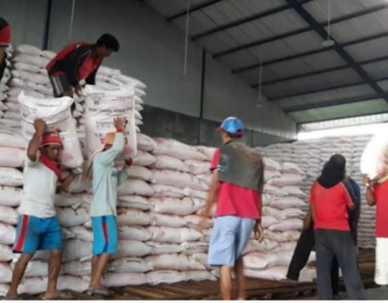 Pupuk Subsidi Turun 20 Persen Pemerintah Serius Bantu Petani untuk Ketahanan Pangan