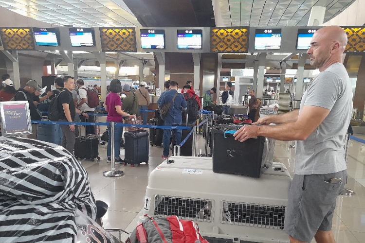 Mati Listrik Sekitar 2 Jam, Fasilitas Bandara Soetta Tangerang Sempat Lumpuh