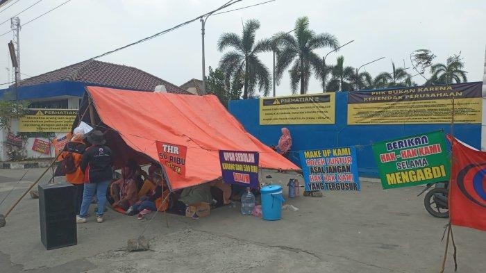 Ini Penjelasan Kuasa Hukum PT Pelita Tidak Memberikan Uang Pesangon