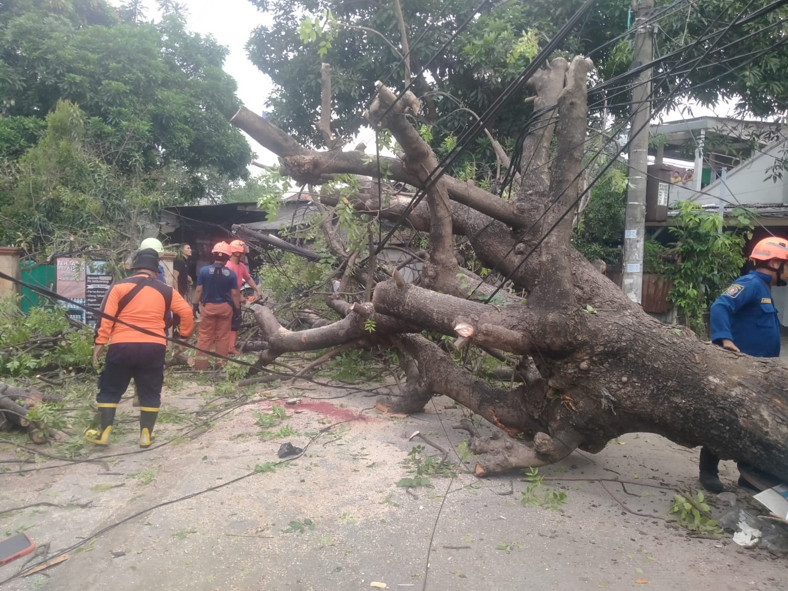 Hendak Main Bola, Solihin Tewas Tertimpa Pohon Kedondong di Jatiuwung Tangerang