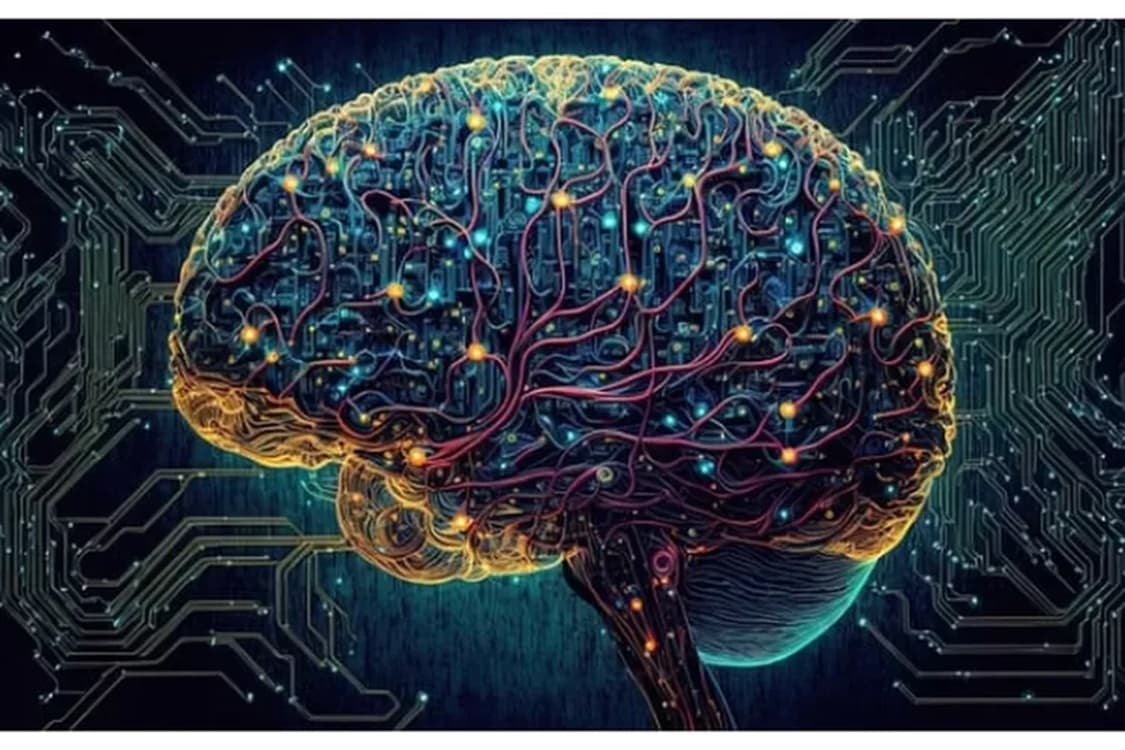 AWAS! Ternyata Ada Beberapa Jenis Makanan Yang Dapat Membawa Dampak Buruk Terhadap Kemampuan Daya Ingat Manusia