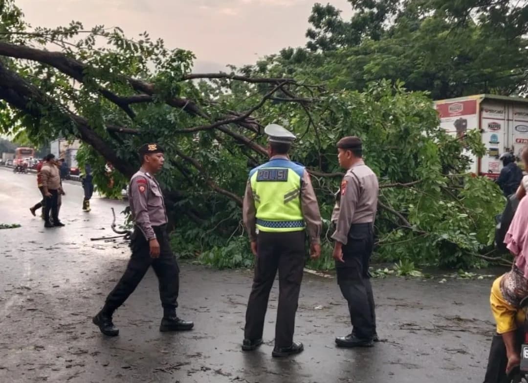 Pohon Tumbang di Batu Ceper, Arus Lalu Lintas Macet