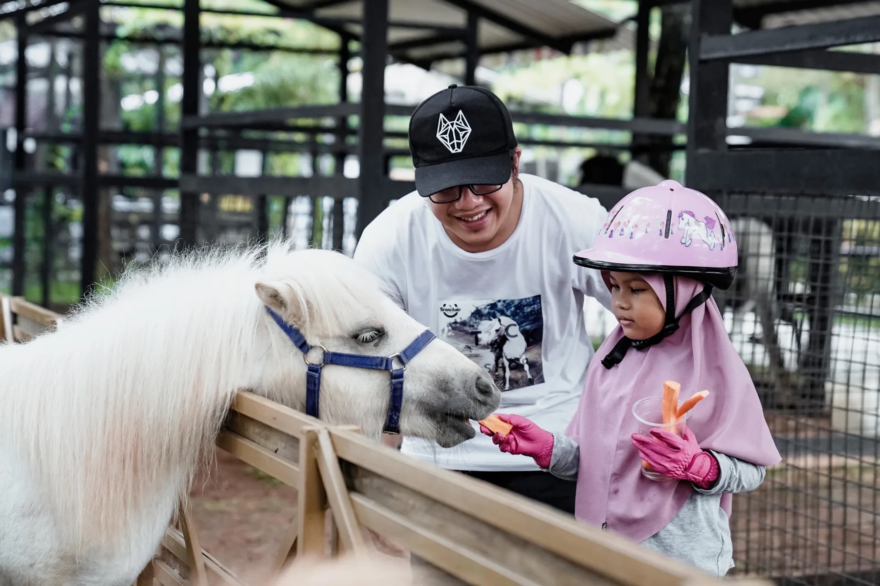 Destinasi Wisata Branchsto Equestrian Park, Pengunjung Bisa Merasakan Sensasi Berkuda, Memberi Makan Kuda Dan ATV