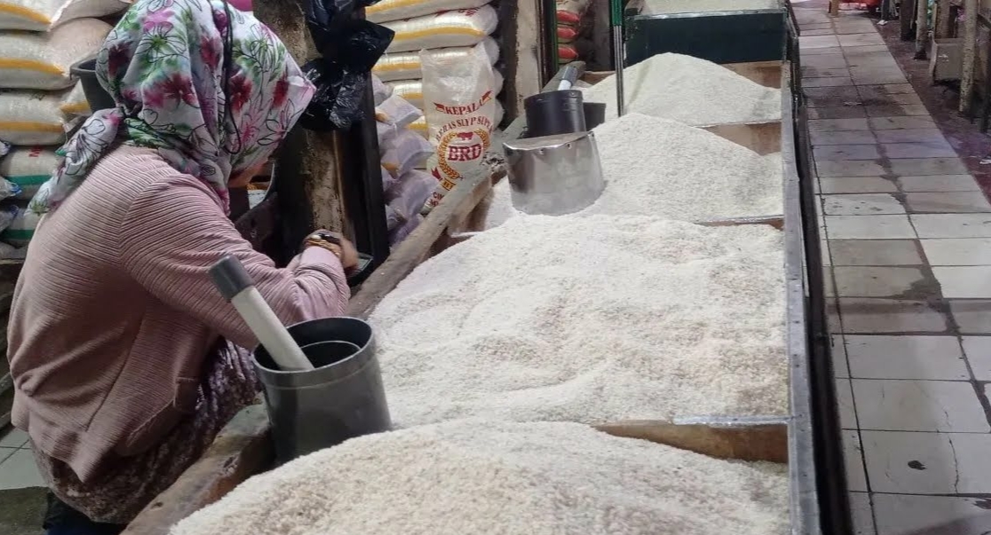Cuma Modal KTP Anda Dapat Rp400 Ribu dan 20 Kg Beras, Cek Sekarang Nama Anda di Sini