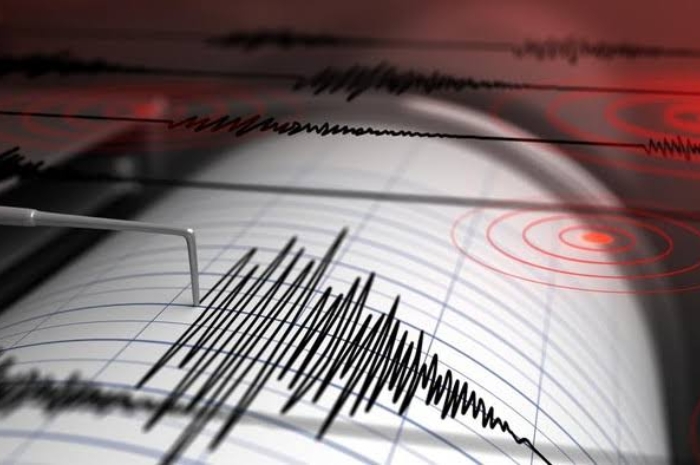Gempa Dahsyat 7,6 Magnitudo Guncang Filipina, BMKG Peringatkan Sulut dan Papua Berpotensi Tsunami