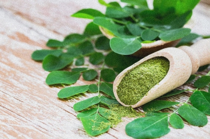 Arti Peribahasa Dunia Tak Selebar Daun Kelor dan Contoh Penggunaanya, Kamu Harus Tahu!