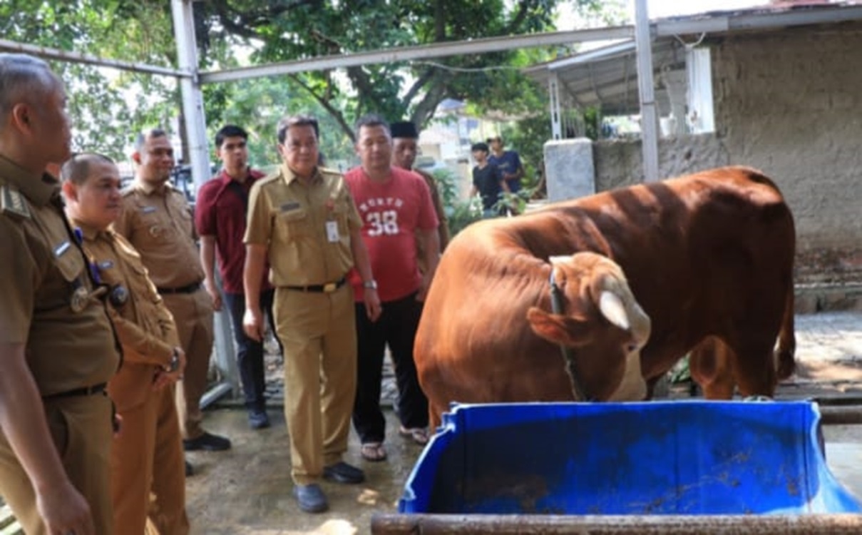 Pj Bupati dan Sekda Kabupaten Tangerang Kunjungi Lapak Hewan Kurban
