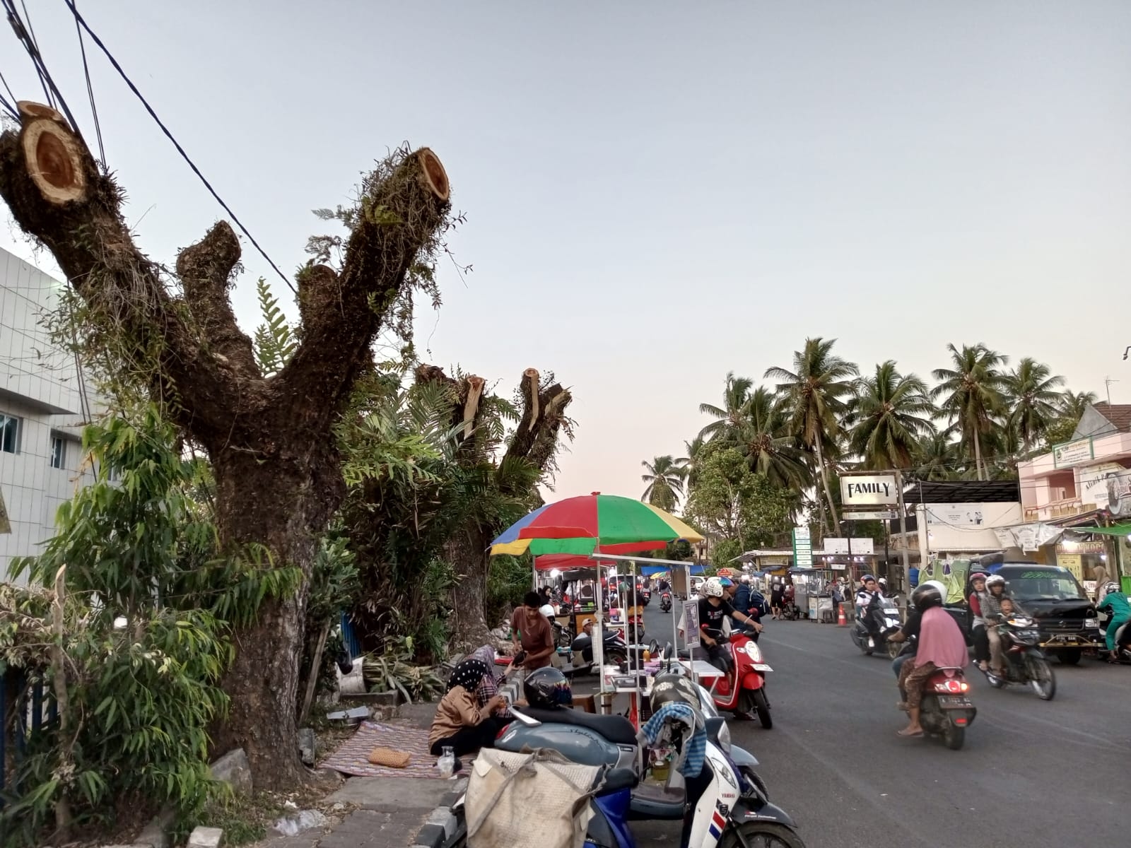 DLH Kabupaten Lebak Lakukan Pemangkasan Pohon, Hindari Cuaca Ekstrim