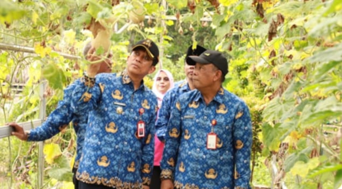 Pj Bupati Tangerang, Tinjau Budidaya Hidroponik, Temui Kelompok Wanita Tani