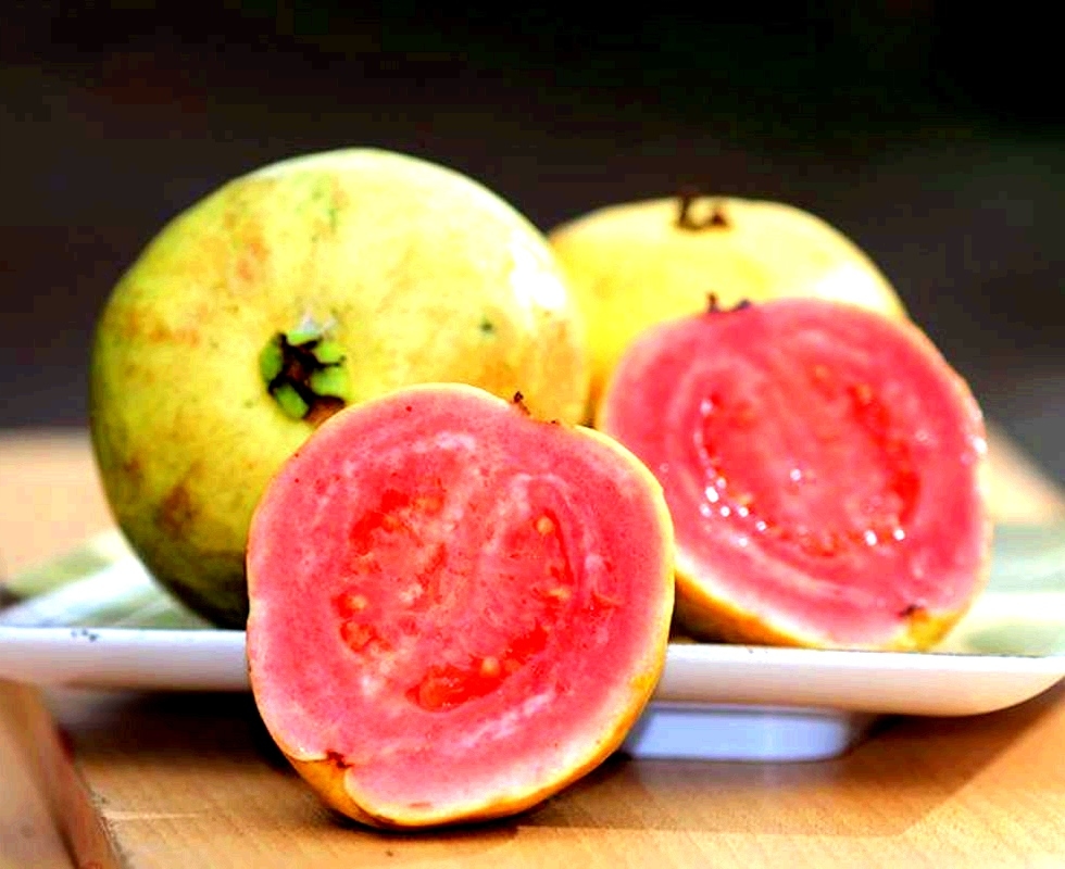 3 Manfaat Jambu Biji Yang Mengagumkan, Salah Satunya Cegah Demam Berdarah