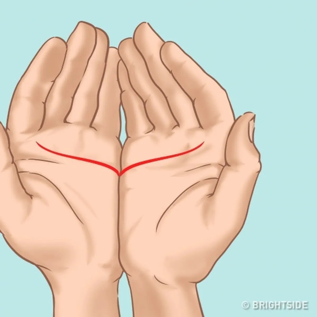 Mengenal Asal Mula Membaca Ramalan Garis Tangan