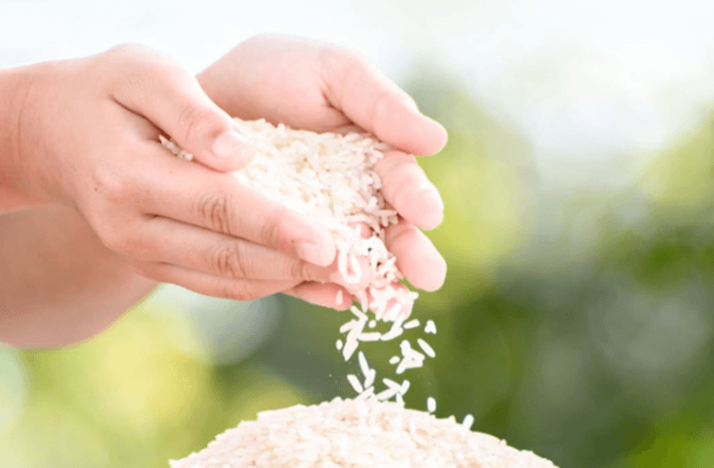 Pemerintah Hapus Kategori Beras Premium dan Medium, Kini Hanya Ada Dua Jenis di Pasaran