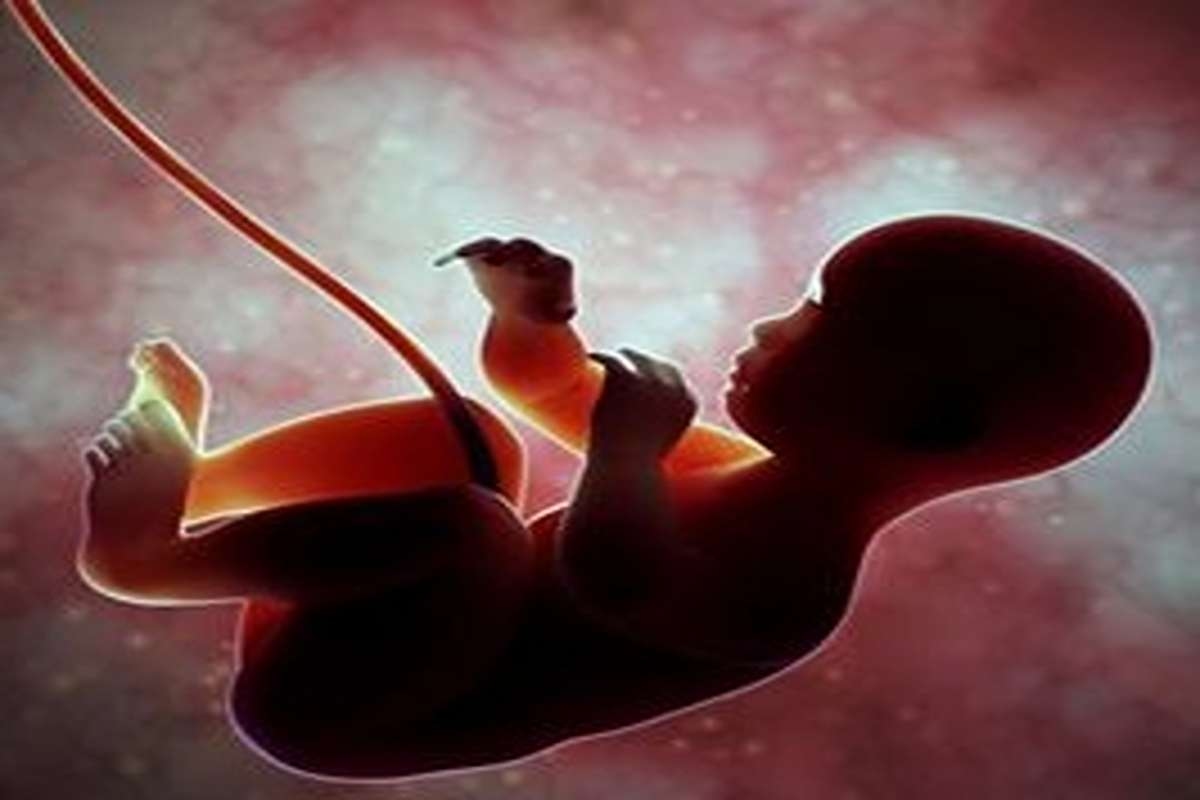 GEGER BINTARO, TANGSEL: Upaya Kubur Bayi di Balik Tanggul Boulevard, Pelaku Tertangkap!