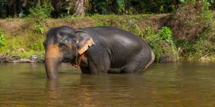 5 Tempat Wisata Keluarga yang Bikin Akhir Pekan Makin Seru