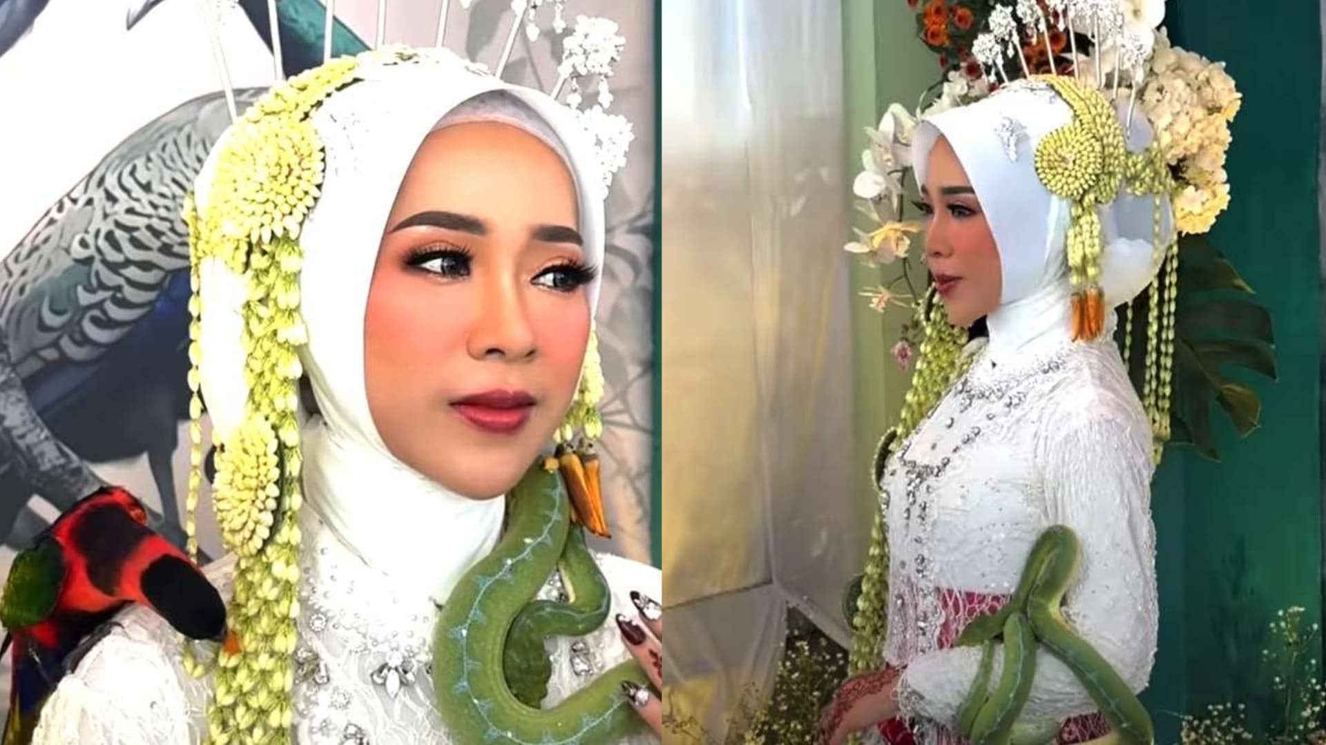 Viral! Pengantin Ini Pakai Kalung Ular di Resepsi, Tamu dan Fotografer Langsung Kaget!