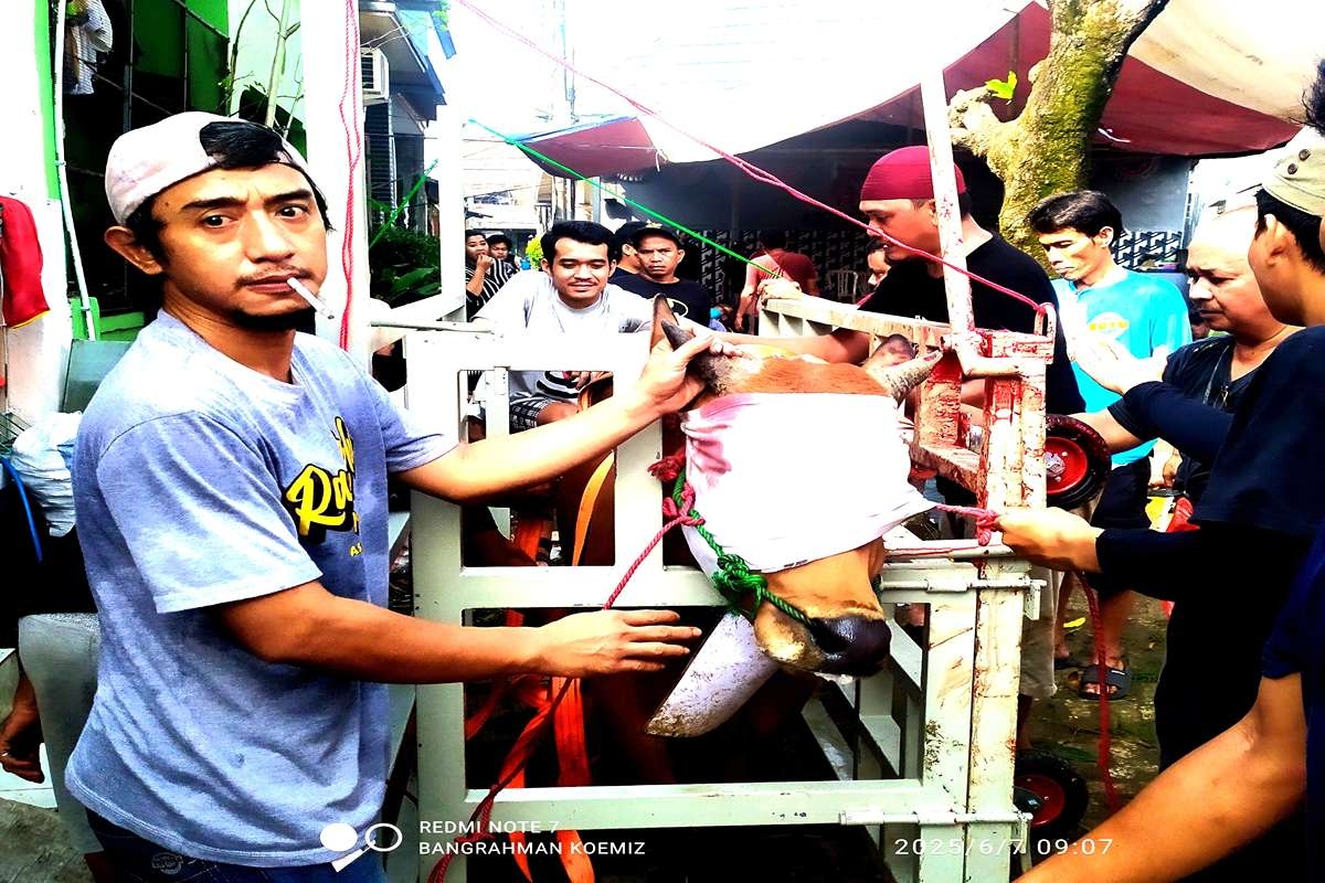 Inovasi Kandang Rubuh: Qurban Lebih Aman dan Berkah di Masjid Jami Baitul Muttaqin Tangerang